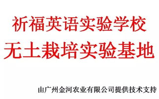 校企攜手，共繪軟件技術(shù)教育新篇章